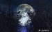adesivi-sfondo-spooky-con-corvi-in-alberi-contro-il-cielo-chiaro-di-luna.jpg
